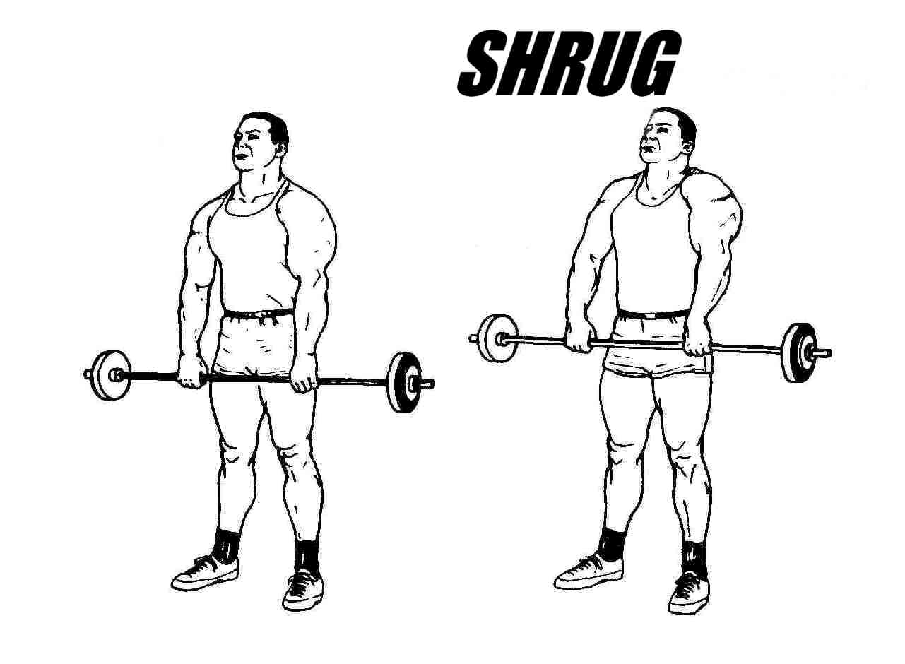  Génération Iron Shrug 