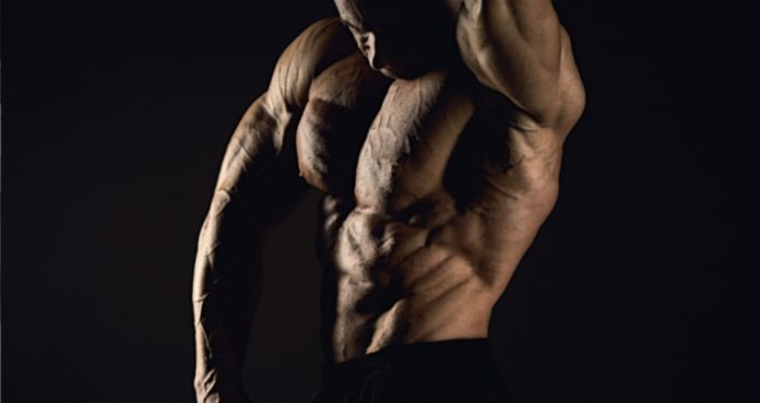 This Comprehensive Powerbuilding Guide Will Help You Develop Strength & Size header