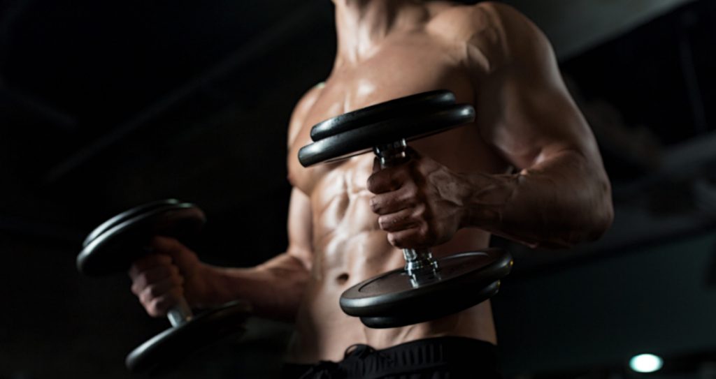 Entraînement de musculation
