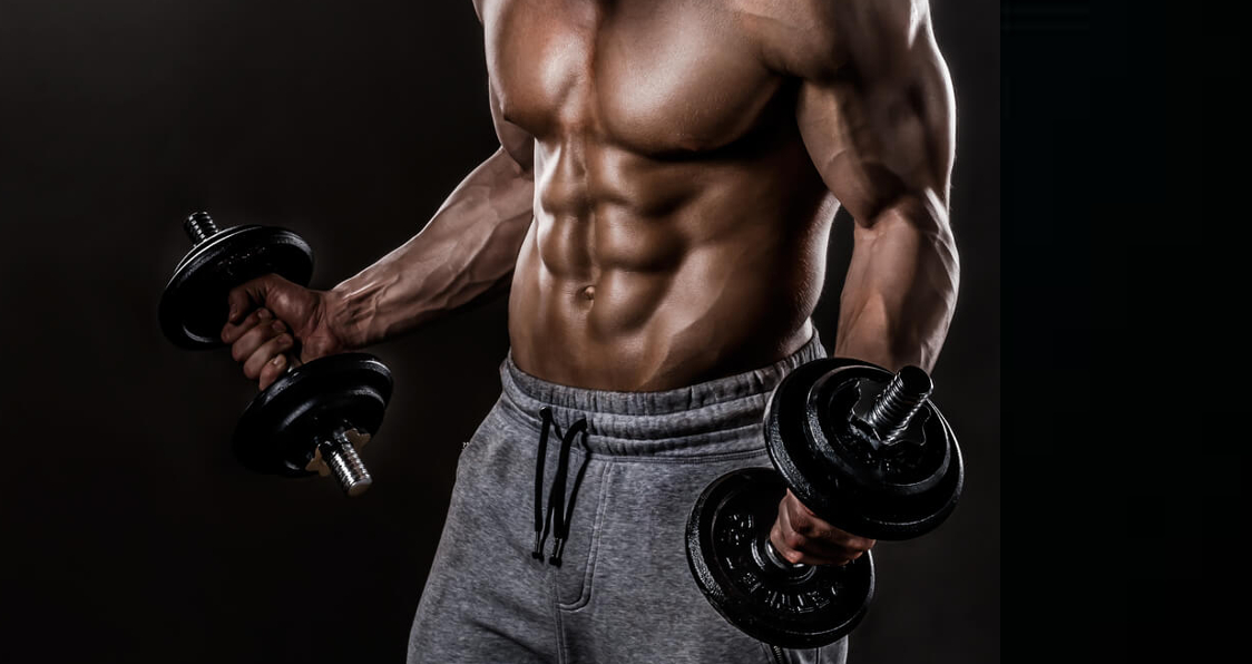 entraînement des biceps