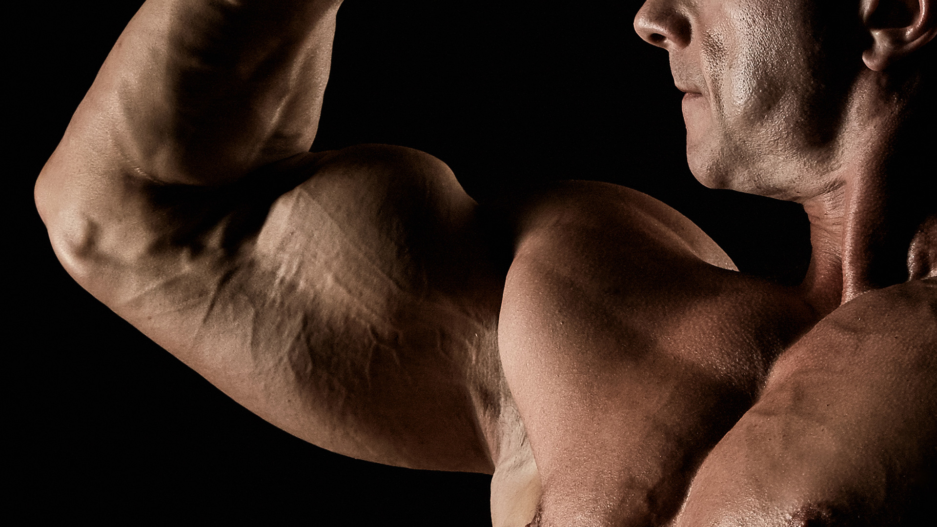 Guide des exercices Nutrition et Musculation Biceps