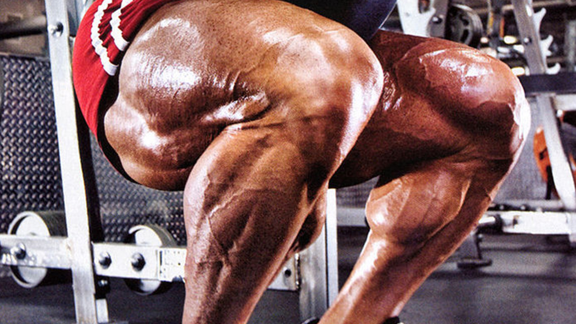 Guide d'exercice Nutrition et Musculation Quads