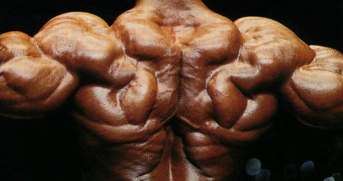 PHUL Training Max Gains Génération Fer