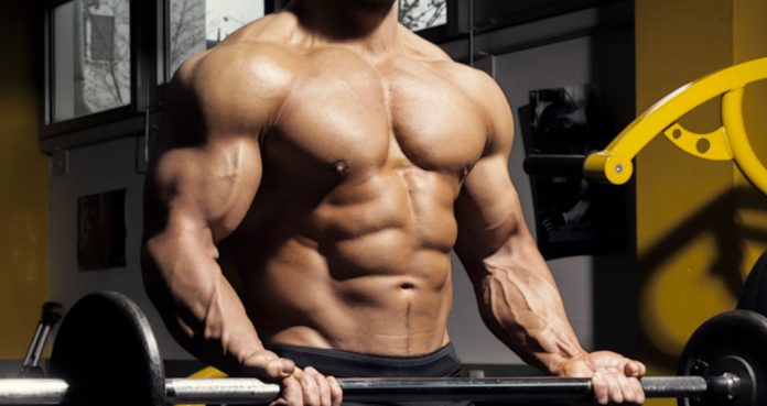 Géant Mass Building Exercices musculation