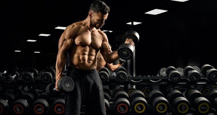 Musculation d'entraînement
