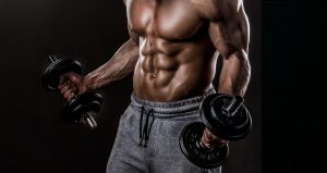 entraînement des biceps