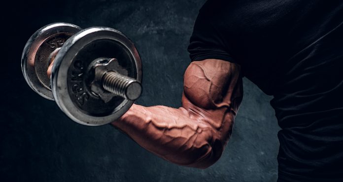 Do You Need to Train to Muscle Failure for Hypertrophy 1