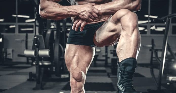 Leg Day
