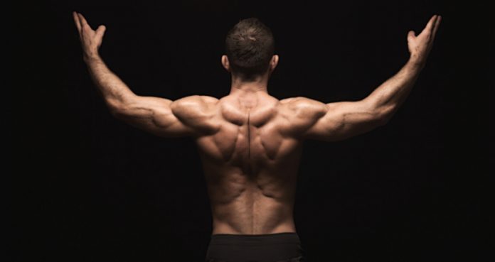 Master Bent Over Rows for Major Back Gains