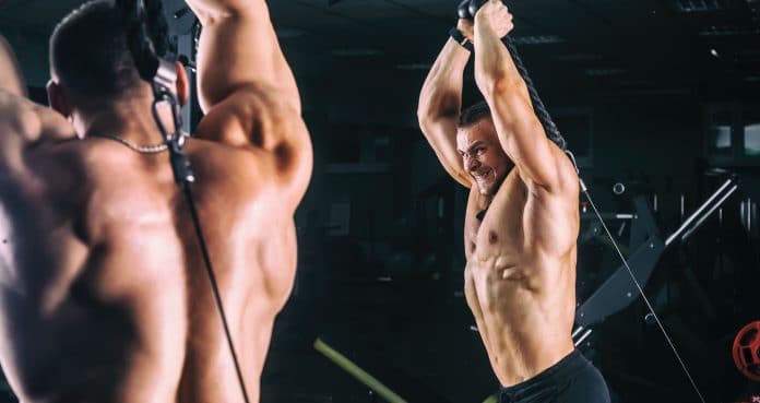 triceps meilleurs exercices de triceps